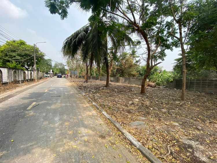 ใช่ 💖 ที่ดิน บางบัวทอง ราคาพิเศษ! 💖 รูปที่ 2