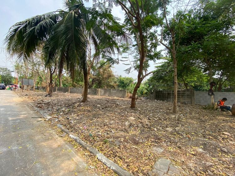 ใช่ 💖 ที่ดิน บางบัวทอง ราคาพิเศษ! 💖 รูปที่ 3