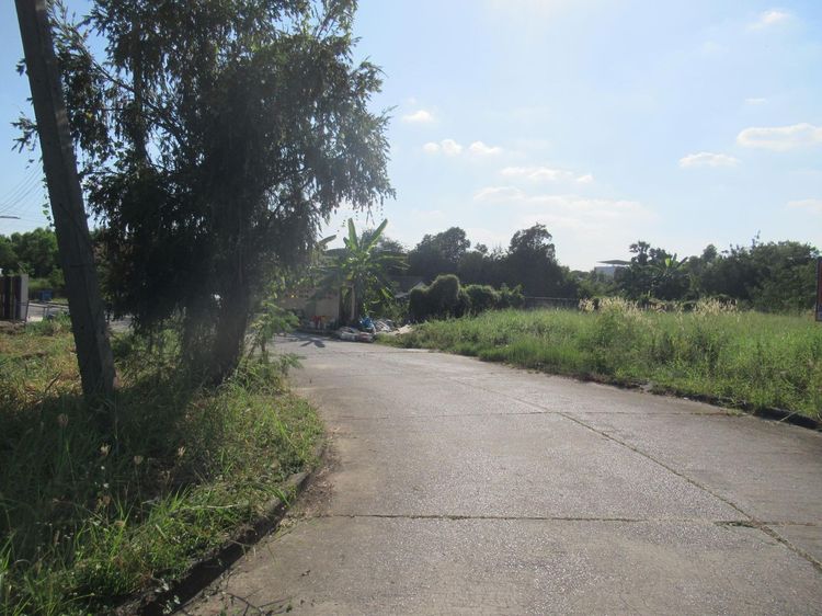 ใช่ 💖 ที่ดิน คลองหลวง ราคาพิเศษ! 💖 รูปที่ 2