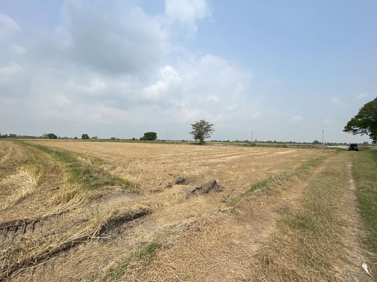 ใช่ 💖 ที่ดิน บางไทร ราคาพิเศษ! 💖 รูปที่ 3