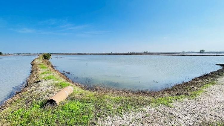 āđāļāđ ð āļāļĩāđāļāļīāļ āļāļēāļāļāļēāļĨ āļĢāļēāļāļēāļāļīāđāļĻāļĐ! ð āļĢāļđāļāļāļĩāđ 3