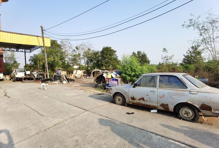 ใช่ 💖 ที่ดิน บางปะอิน ราคาพิเศษ! 💖 รูปที่ 3