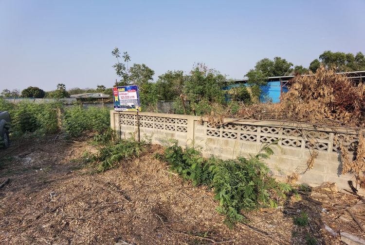 ใช่ 💖 ที่ดิน บางปะอิน ราคาพิเศษ! 💖 รูปที่ 3