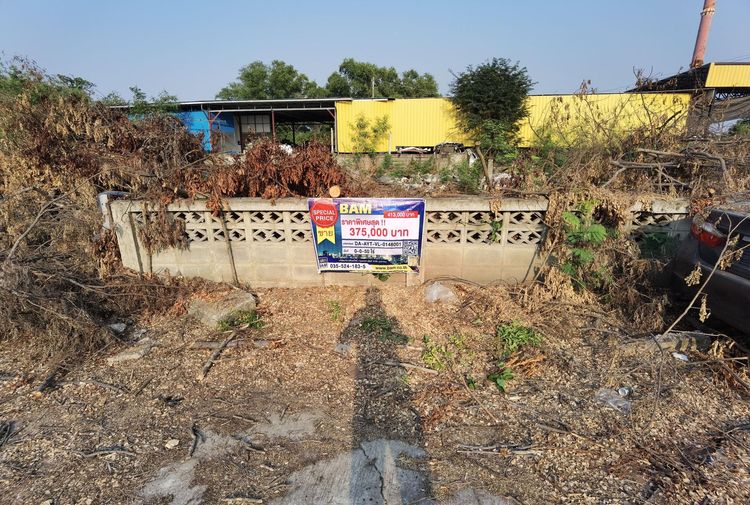 💖 ที่ดิน บางปะอิน ราคาพิเศษ! 💖