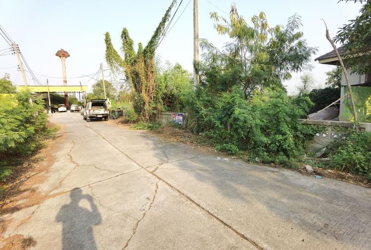 ใช่ 💖 ที่ดิน บางปะอิน ราคาพิเศษ! 💖 รูปที่ 2