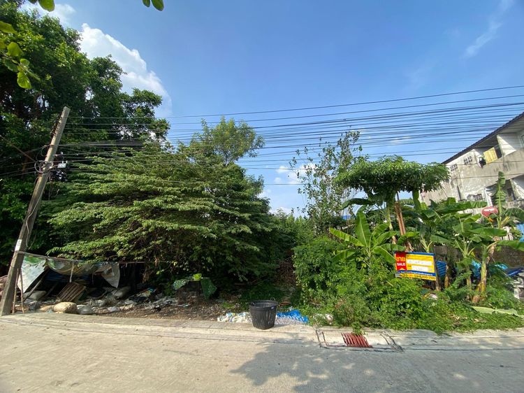 ใช่ 💖 ที่ดิน บางเขน ราคาพิเศษ! 💖 รูปที่ 4