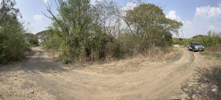 ใช่ 💖 ที่ดิน เมืองบุรีรัมย์ ราคาพิเศษ! 💖 รูปที่ 2