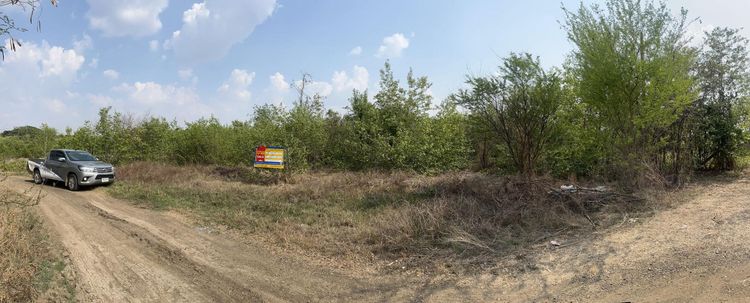 ใช่ 💖 ที่ดิน เมืองบุรีรัมย์ ราคาพิเศษ! 💖 รูปที่ 3