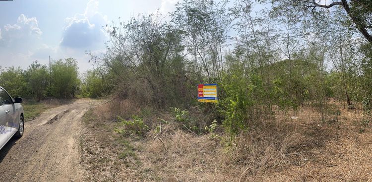 ใช่ 💖 ที่ดิน เมืองบุรีรัมย์ ราคาพิเศษ! 💖 รูปที่ 4