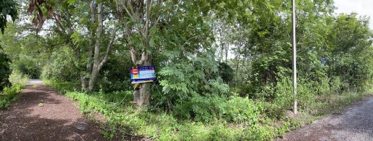 ใช่ 💖 ที่ดิน หางดง ราคาพิเศษ! 💖 รูปที่ 2