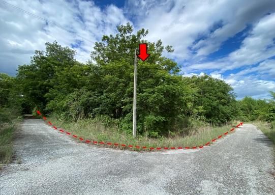 ใช่ 💖 ที่ดิน หางดง ราคาพิเศษ! 💖 รูปที่ 3