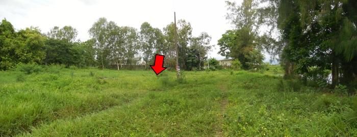 ใช่ 💖 ที่ดิน สารภี ราคาพิเศษ! 💖 รูปที่ 3