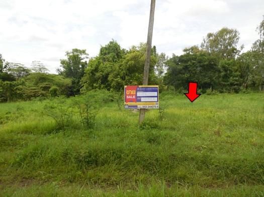 💖 ที่ดิน สารภี ราคาพิเศษ! 💖