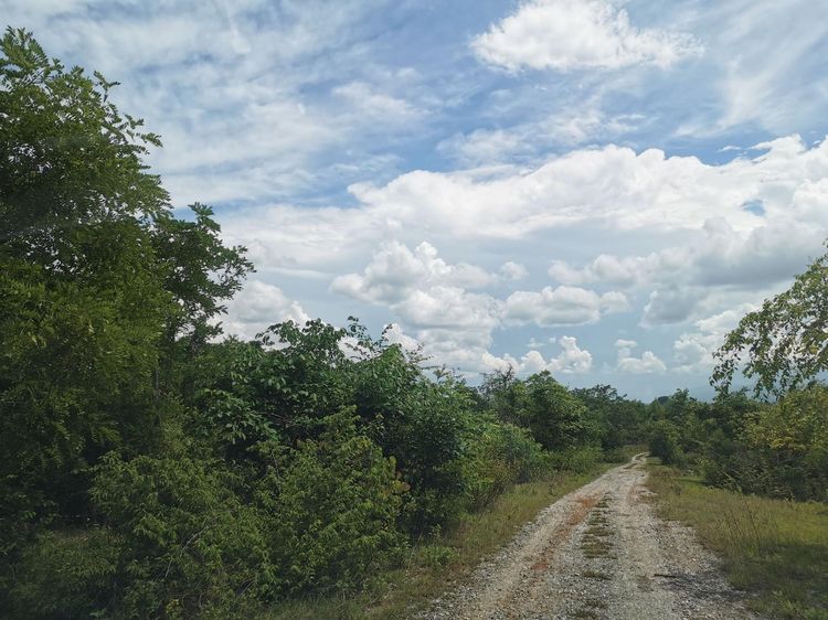 āđāļāđ ð āļāļĩāđāļāļīāļ āļāļāļĒāļŦāļĨāđāļ āļĢāļēāļāļēāļāļīāđāļĻāļĐ! ð āļĢāļđāļāļāļĩāđ 2