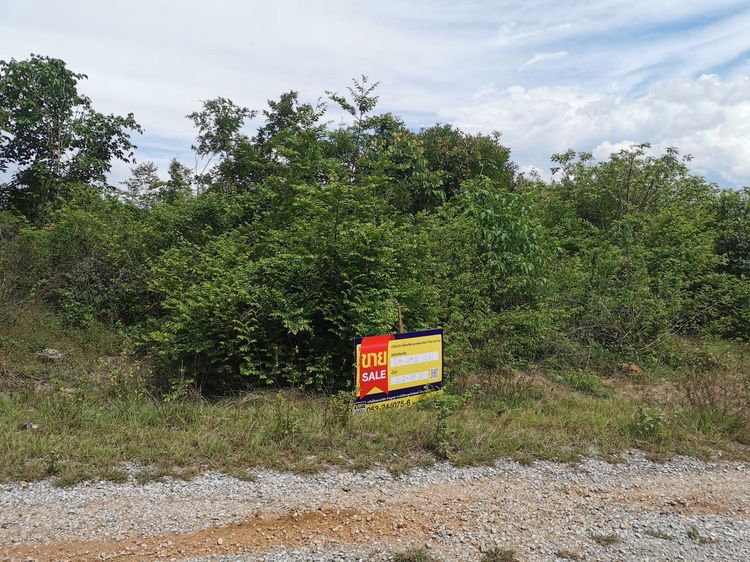 āđāļāđ ð āļāļĩāđāļāļīāļ āļāļāļĒāļŦāļĨāđāļ āļĢāļēāļāļēāļāļīāđāļĻāļĐ! ð āļĢāļđāļāļāļĩāđ 3