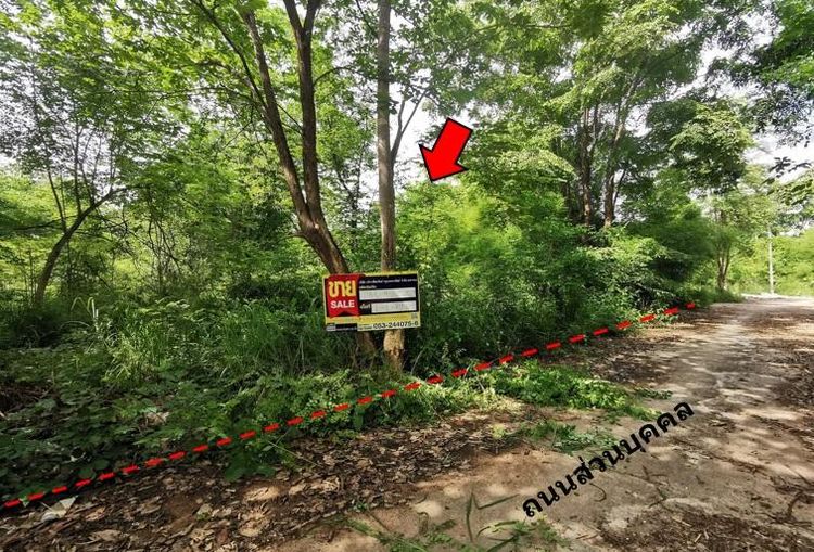 💖 ที่ดิน สันป่าตอง ราคาพิเศษ! 💖