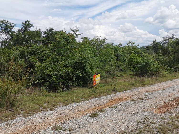 ใช่ 💖 ที่ดิน ดอยหล่อ ราคาพิเศษ! 💖 รูปที่ 4