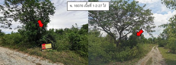 💖 ที่ดิน ดอยหล่อ ราคาพิเศษ! 💖