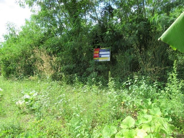 💖 ที่ดิน แม่วาง ราคาพิเศษ! 💖