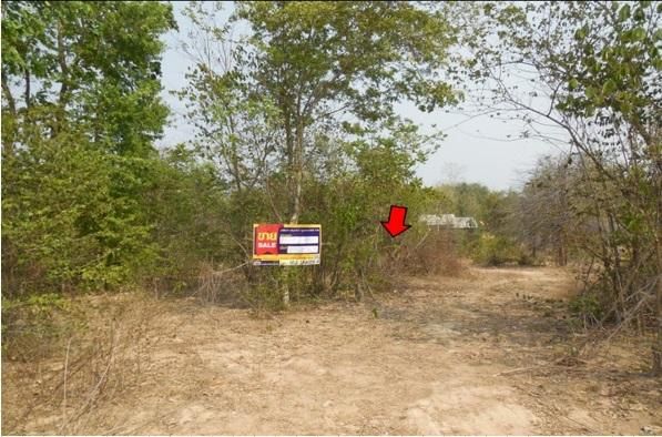 💖 ที่ดิน ฮอด ราคาพิเศษ! 💖