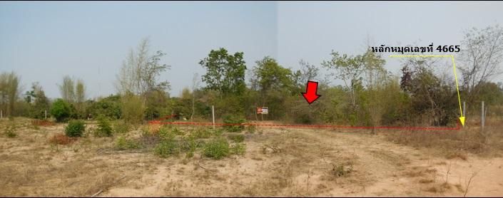 ใช่ 💖 ที่ดิน ฮอด ราคาพิเศษ! 💖 รูปที่ 4