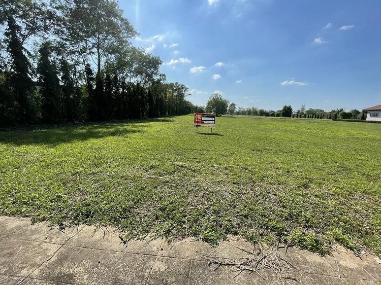 ใช่ 💖 ที่ดิน หางดง ราคาพิเศษ! 💖