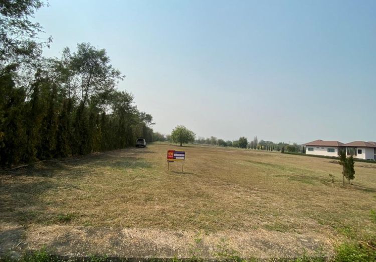 ใช่ 💖 ที่ดิน หางดง ราคาพิเศษ! 💖 รูปที่ 3