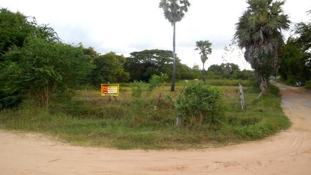 💖 ที่ดิน พล ราคาพิเศษ! 💖