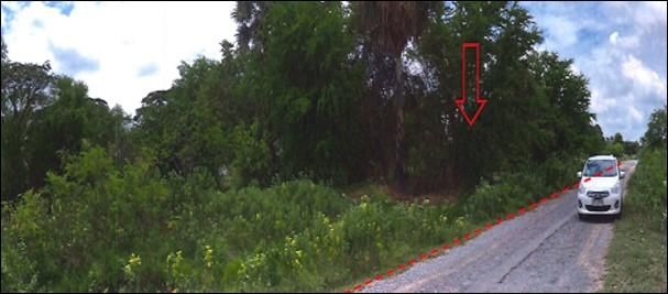 ใช่ 💖 ที่ดิน พล ราคาพิเศษ! 💖 รูปที่ 4