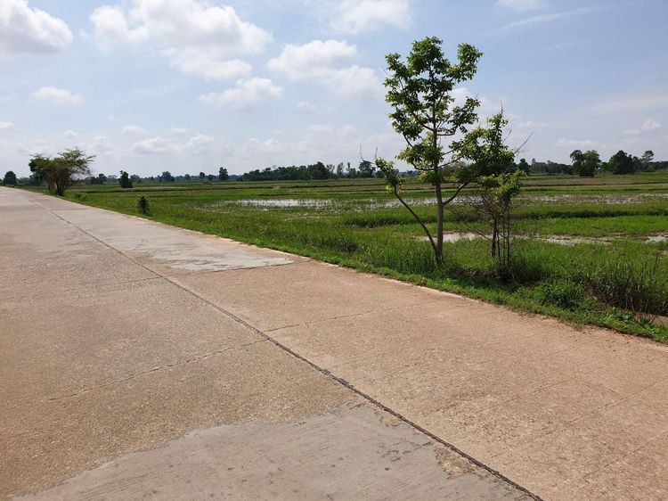 ใช่ 💖 ที่ดิน เมืองขอนแก่น ราคาพิเศษ! 💖 รูปที่ 4