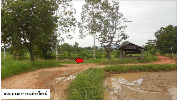 ใช่ 💖 ที่ดิน คำม่วง ราคาพิเศษ! 💖 รูปที่ 4