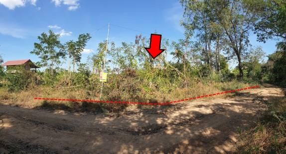 💖 ที่ดิน เมืองกาฬสินธุ์ ราคาพิเศษ! 💖