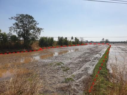 ใช่ 💖 ที่ดิน กมลาไสย ราคาพิเศษ! 💖 รูปที่ 3