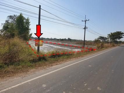 ใช่ 💖 ที่ดิน กมลาไสย ราคาพิเศษ! 💖 รูปที่ 2