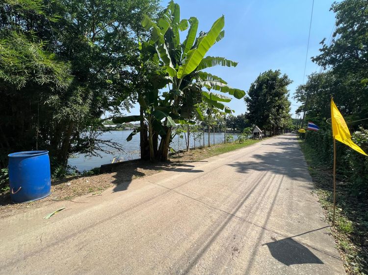 ใช่ 💖 ที่ดิน โคกสำโรง ราคาพิเศษ! 💖 รูปที่ 4