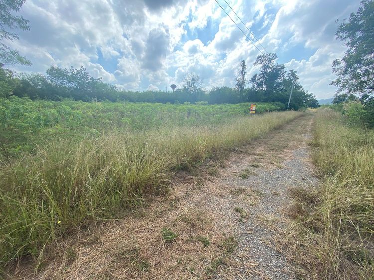 ใช่ 💖 ที่ดิน เมืองลพบุรี ราคาพิเศษ! 💖 รูปที่ 3