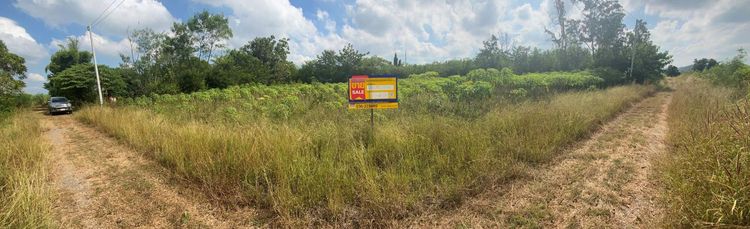 ใช่ 💖 ที่ดิน เมืองลพบุรี ราคาพิเศษ! 💖 รูปที่ 4