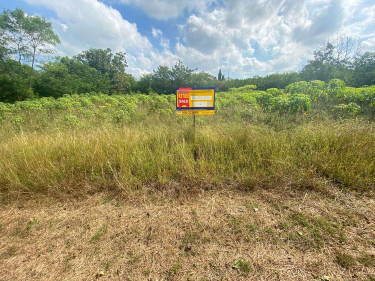 💖 ที่ดิน เมืองลพบุรี ราคาพิเศษ! 💖