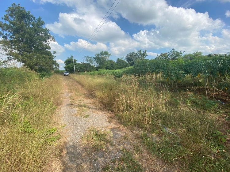 ใช่ 💖 ที่ดิน เมืองลพบุรี ราคาพิเศษ! 💖 รูปที่ 2