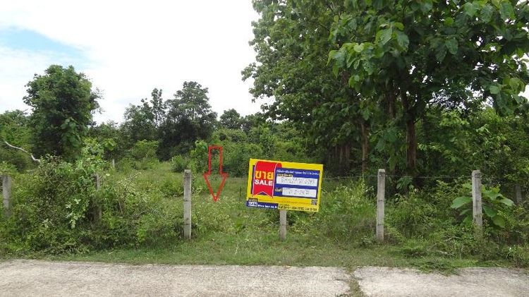 💖 ที่ดิน แม่ทะ ราคาพิเศษ! 💖