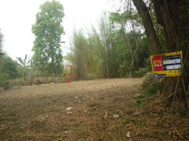 💖 ที่ดิน งาว ราคาพิเศษ! 💖