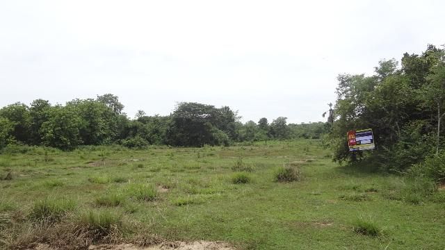 ใช่ 💖 ที่ดิน เกาะคา ราคาพิเศษ! 💖