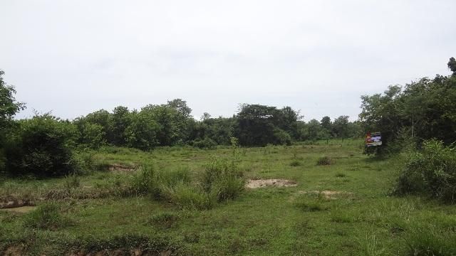 ใช่ 💖 ที่ดิน เกาะคา ราคาพิเศษ! 💖 รูปที่ 2