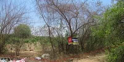 💖 ที่ดิน บ้านโฮ่ง ราคาพิเศษ! 💖