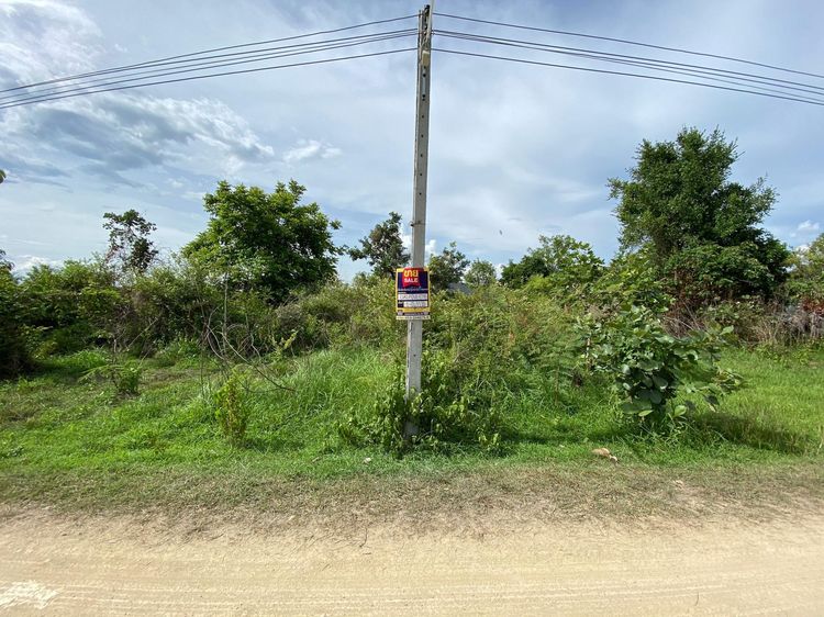 💖 ที่ดิน เมืองลำพูน ราคาพิเศษ! 💖