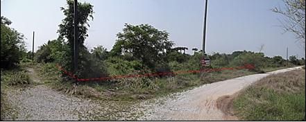 ใช่ 💖 ที่ดิน เมืองลำพูน ราคาพิเศษ! 💖 รูปที่ 3