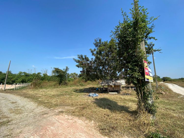 ใช่ 💖 ที่ดิน เมืองลำพูน ราคาพิเศษ! 💖 รูปที่ 4