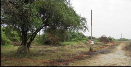 ใช่ 💖 ที่ดิน เมืองลำพูน ราคาพิเศษ! 💖 รูปที่ 3