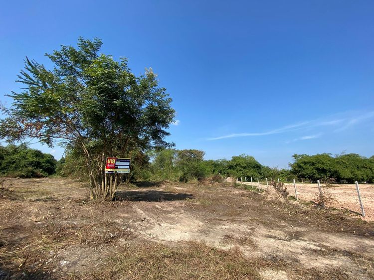 ใช่ 💖 ที่ดิน เมืองลำพูน ราคาพิเศษ! 💖 รูปที่ 2