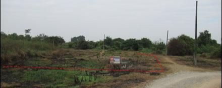 ใช่ 💖 ที่ดิน เมืองลำพูน ราคาพิเศษ! 💖 รูปที่ 3